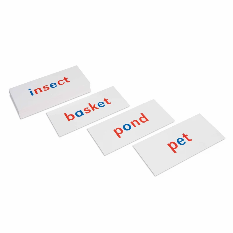 Cartes flash phonétiques (en anglais) - Nienhuis AMI