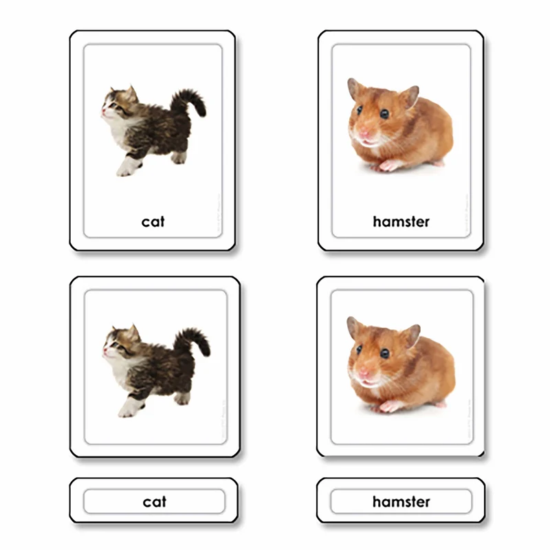 Cartes à 3 volets pour animaux de compagnie (en anglais) - Nienhuis AMI