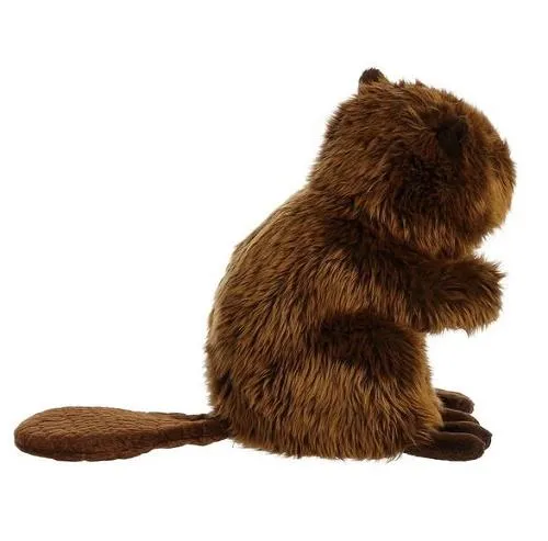 Aurora Miyoni Beaver - Castor