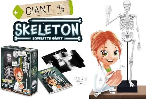 Buki Giant Skeleton - Squelette géant (45 cm)