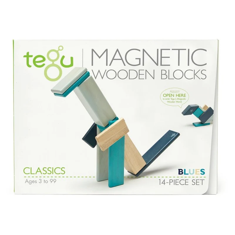Tegu 14 Piece Set Blue / Ensemble Tegu 14 pièces bleu