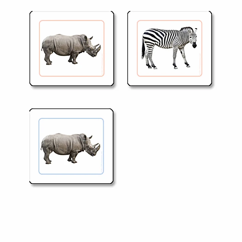 Cartes de correspondance des animaux africains (en anglais) - Nienhuis AMI