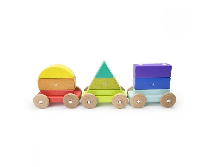 Tegu Magnetic Shape Train magnétique en forme