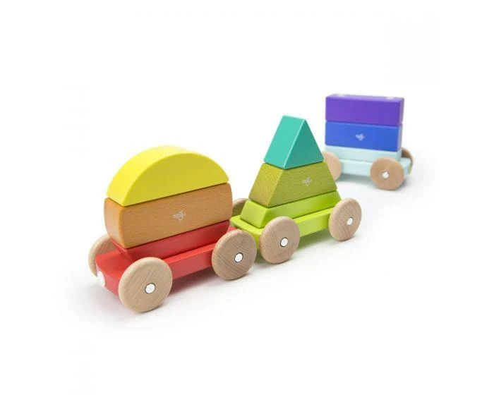 Tegu Magnetic Shape Train magnétique en forme