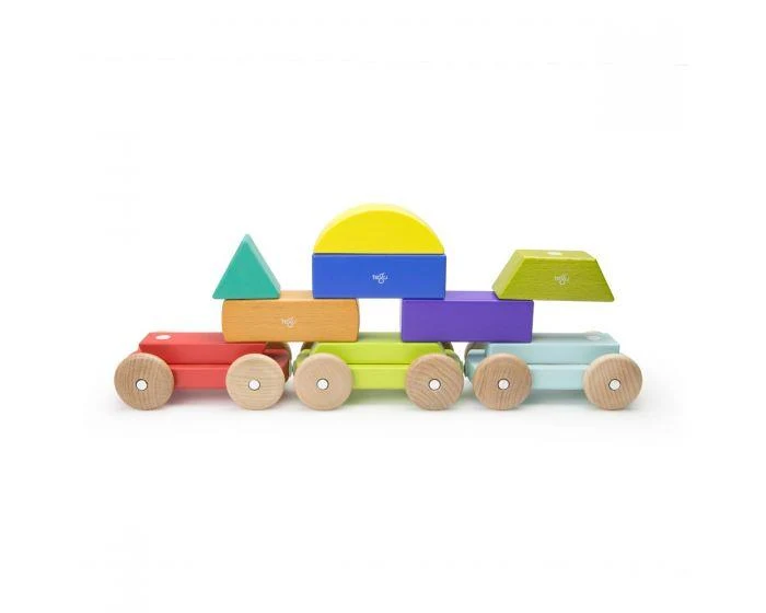 Tegu Magnetic Shape Train magnétique en forme