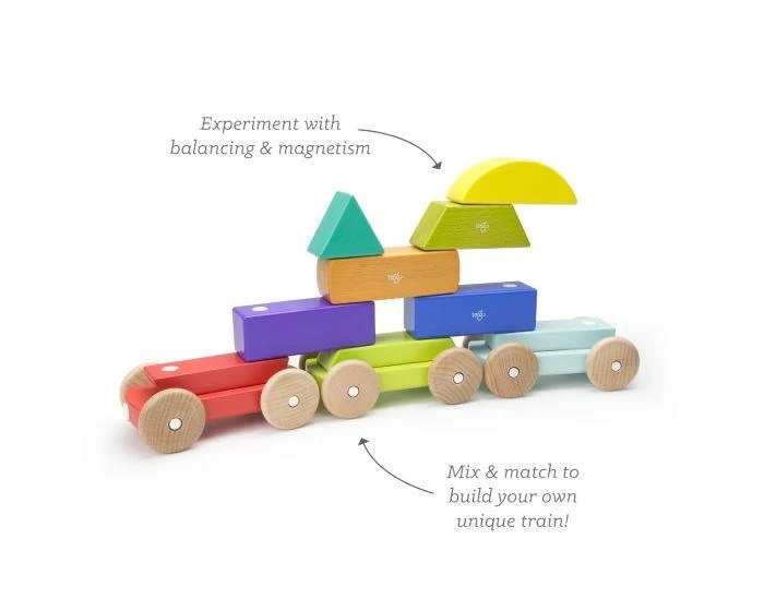 Tegu Magnetic Shape Train magnétique en forme