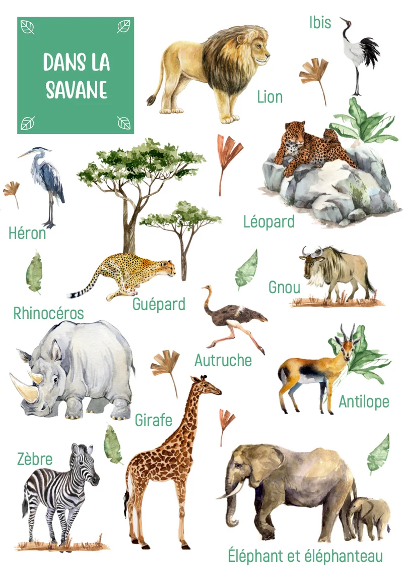 Posters des animaux de la savane