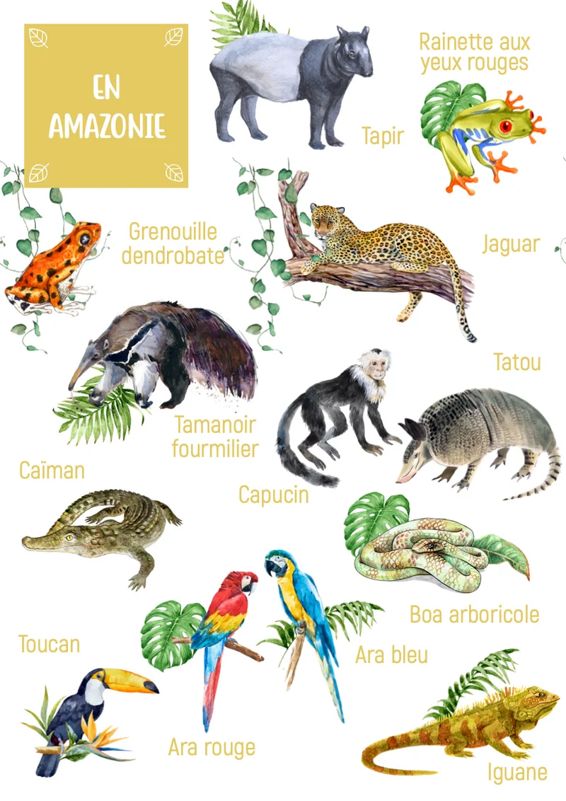 Posters des animaux d'Amazonie