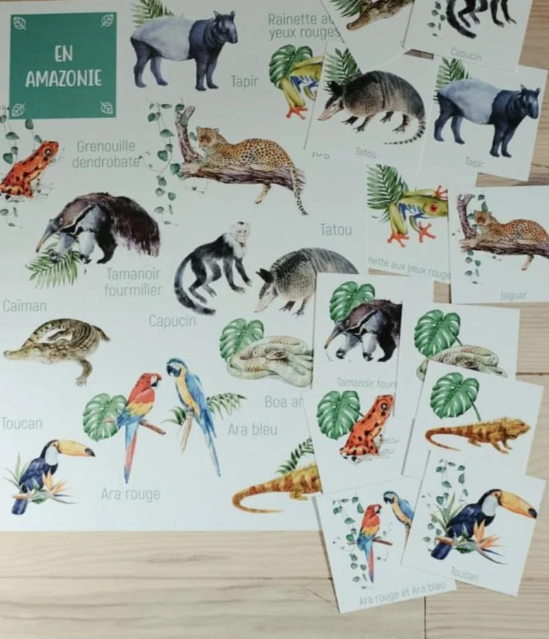 Posters des animaux d'Amazonie