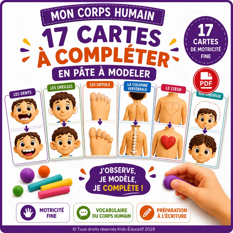 Mon corps humain - 17 cartes à compléter en pâte à modeler