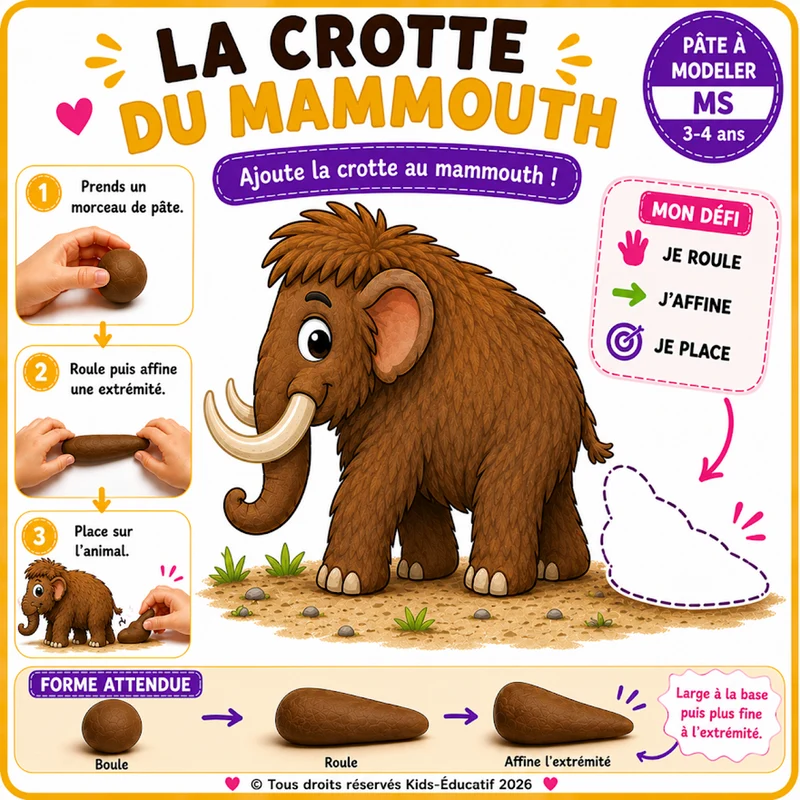 Complète les animaux en pâte à modeler