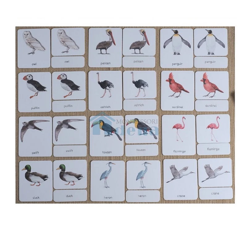 Adena Montessori Materials Birds 3-Part Cards English with Stand