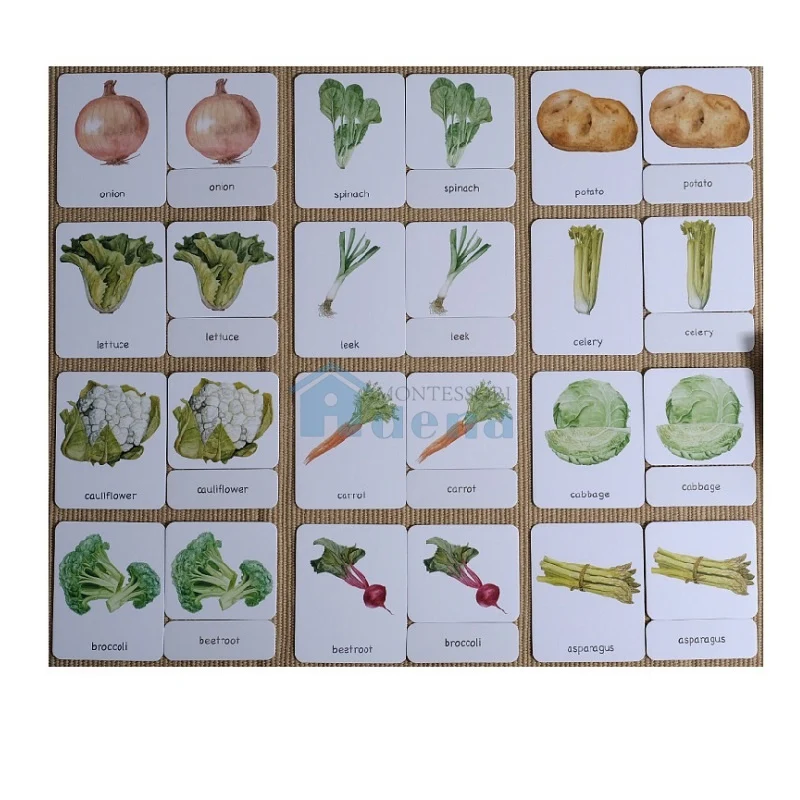 Adena Montessori Materials Vegetables 3-Part Cards English with Stand