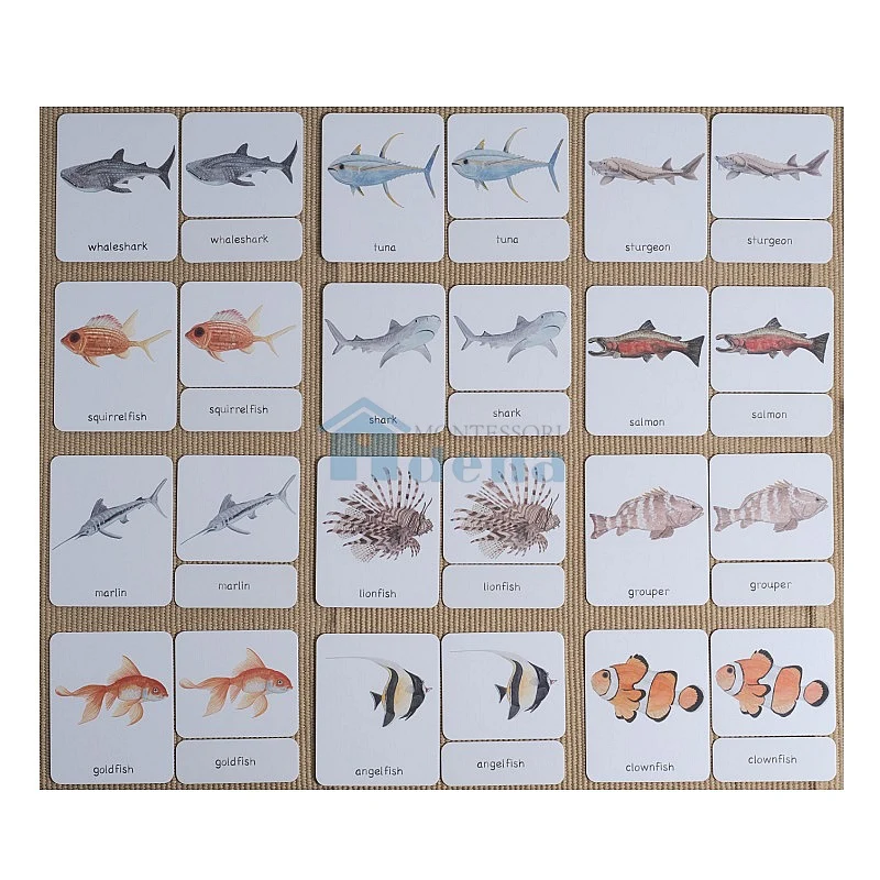 Adena Montessori Materials Fish 3-Part Cards English with Stand