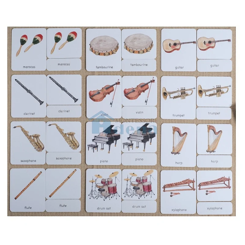 Adena Montessori Materials Instruments 3-Part Cards English with Stand