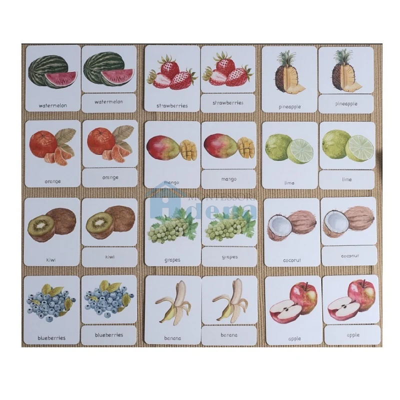 Adena Montessori Materials Fruits 3-Part Cards English with Stand