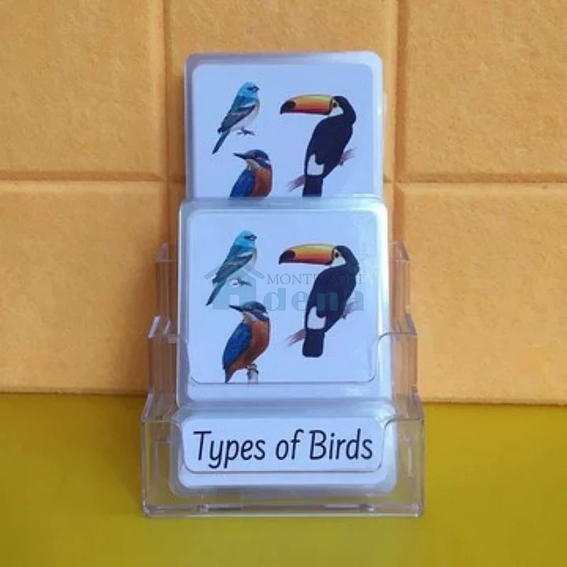 Three-Parts Cards w/ Stand -Types of Birds（16 sets）