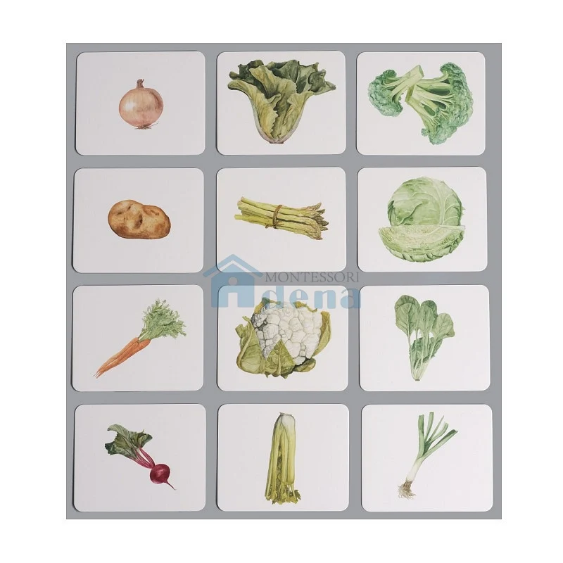 Adena Montessori Educational Materials Nomenclature/Classified Cards for IC