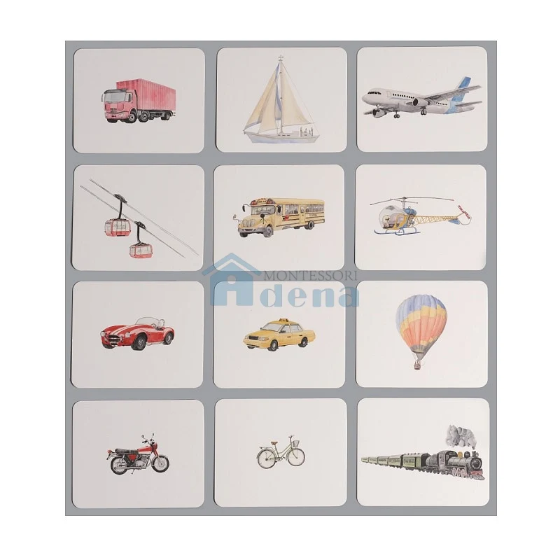 Adena Montessori Educational Materials Nomenclature/Classified Cards for IC