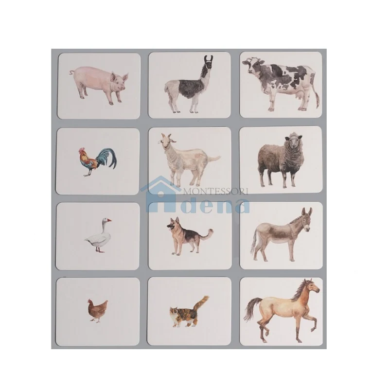 Adena Montessori Educational Materials Nomenclature/Classified Cards for IC