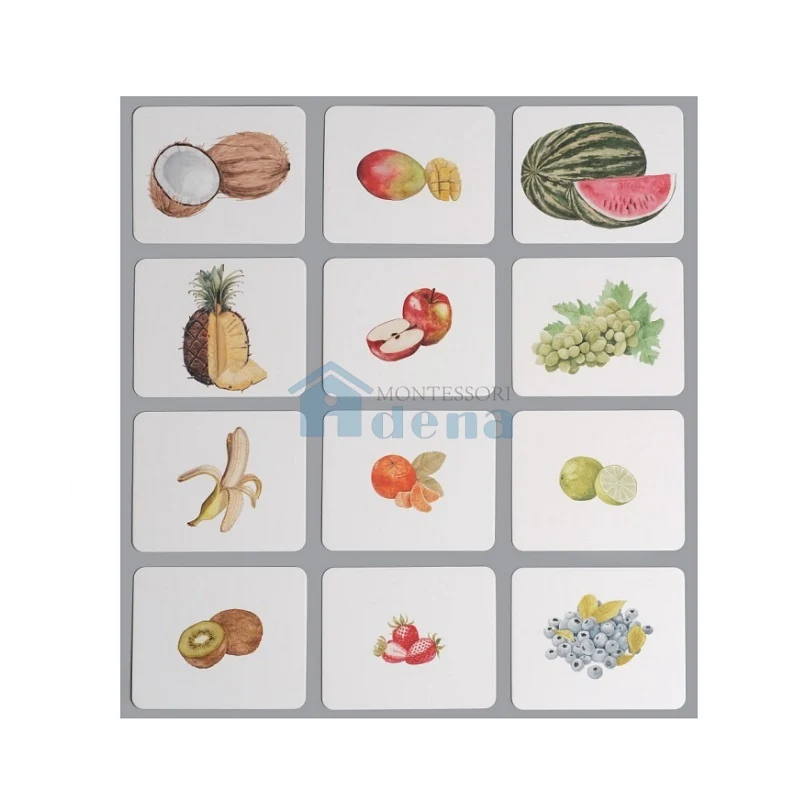 Adena Montessori Educational Materials Nomenclature/Classified Cards for IC