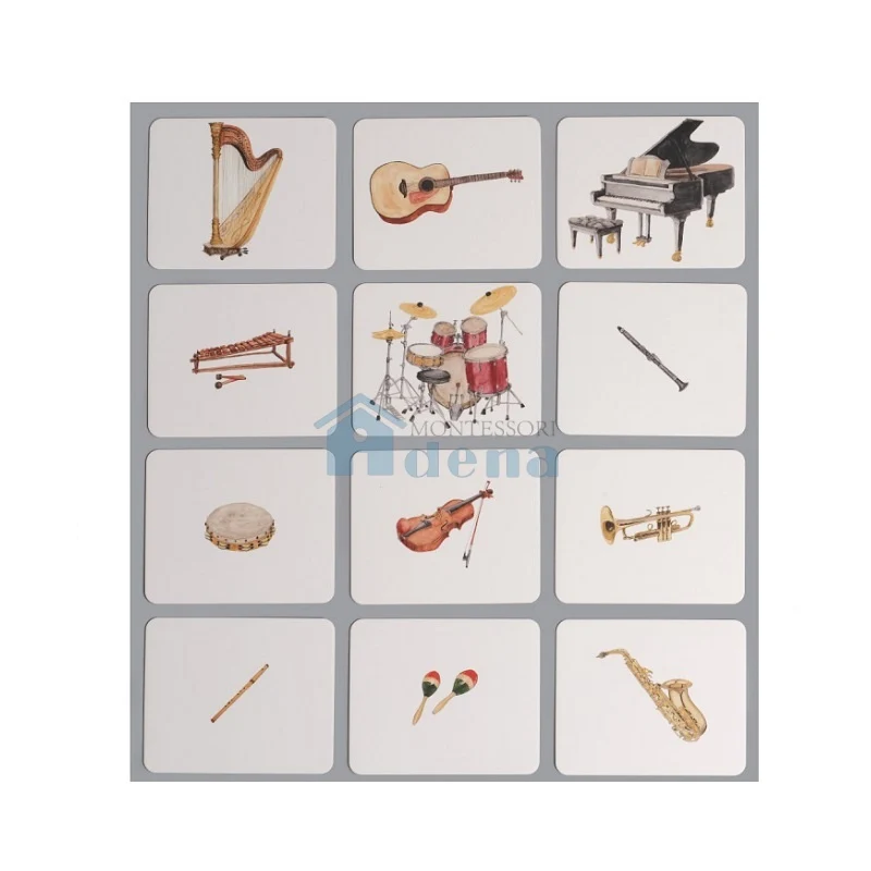 Adena Montessori Educational Materials Nomenclature/Classified Cards for IC