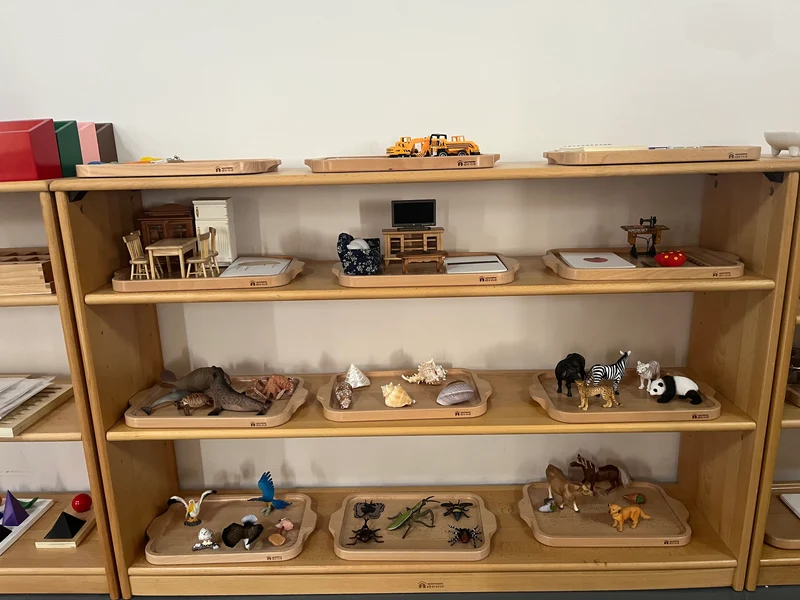 Adena Montessori Educational Materials Replicas Objects -Ocean Animals with wooden tray
