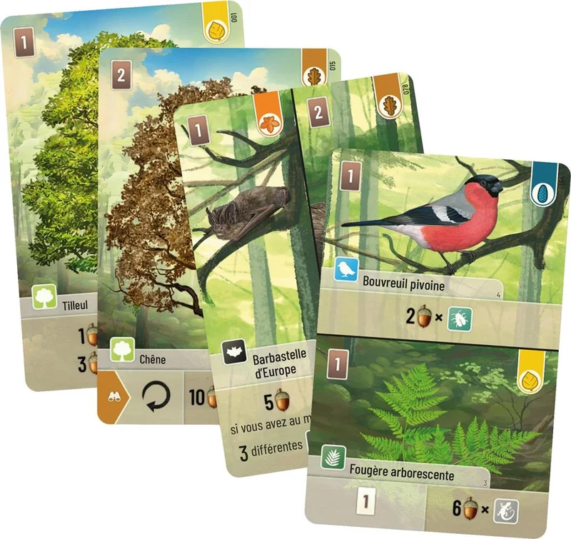 Foret Mixte