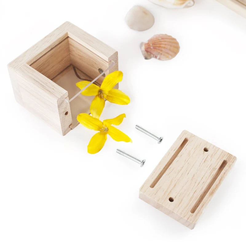 Guidecraft Treasure Blocks Clear / Blocs de trésor clairs