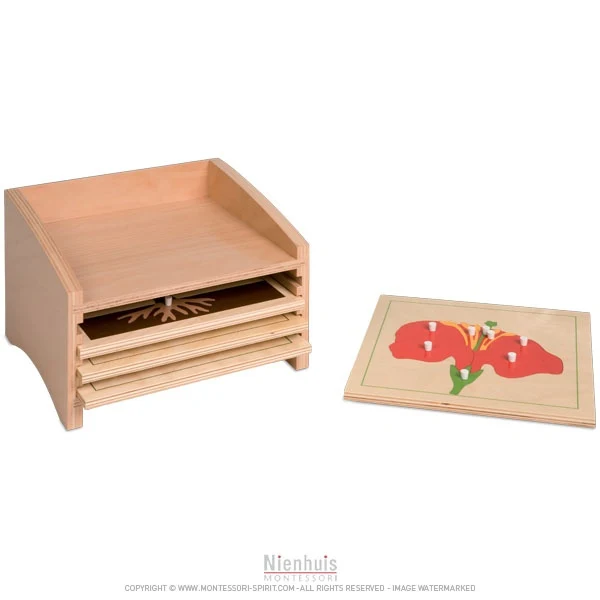 Cabinet de rangement des puzzles de botanique