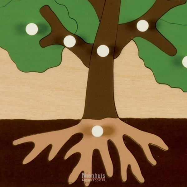 Puzzle de botanique : arbre