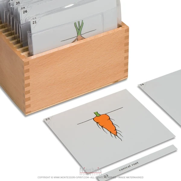 Boite de rangement deuxième jeu de cartes de botanique