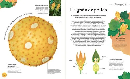 Auzou - L'anthologie insolite des trésors de la nature - livre