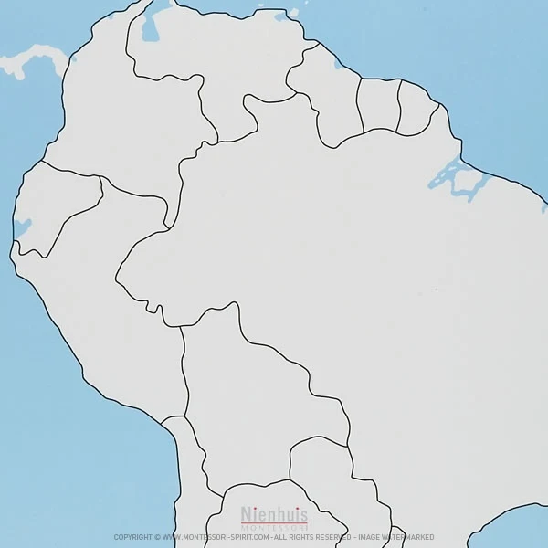 Carte de contrôle muette d'Amérique du Sud