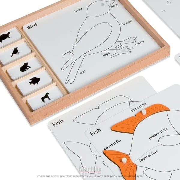 Exercices autour des puzzles d'animaux