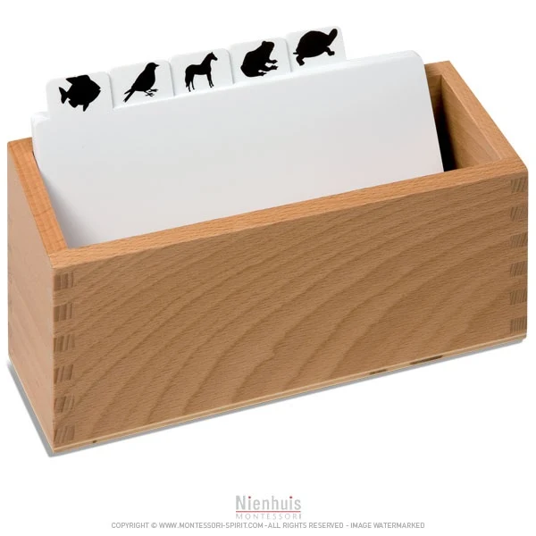 Boite de rangement des modèles de dessins d'animaux