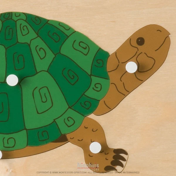Puzzle animal : tortue