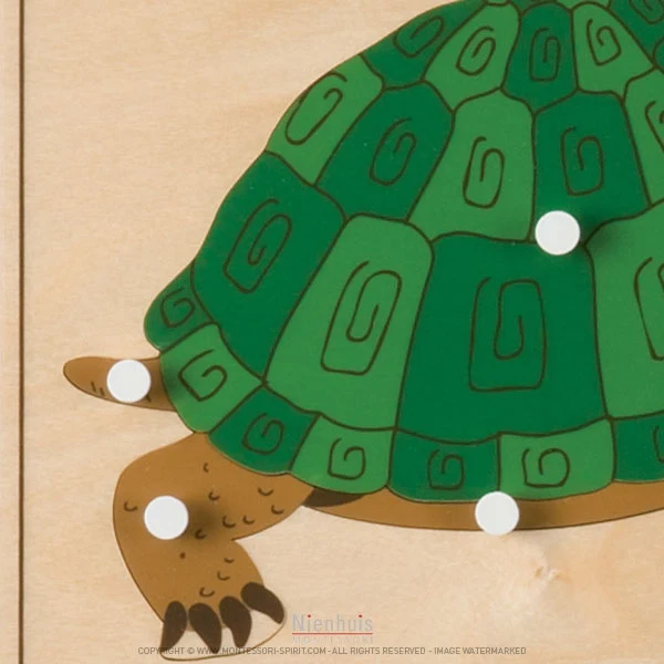 Puzzle animal : tortue