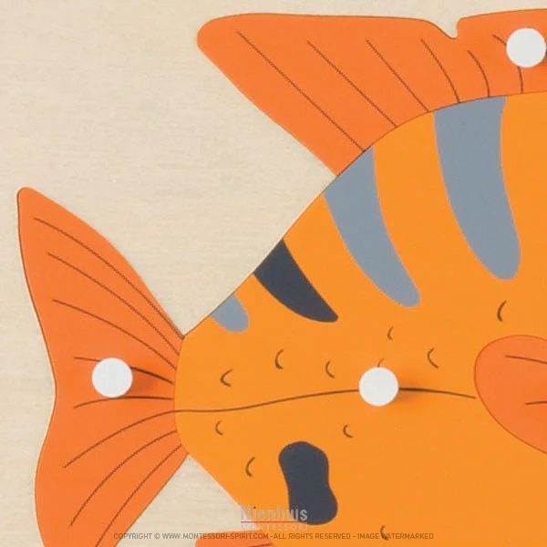 Puzzle animal : poisson