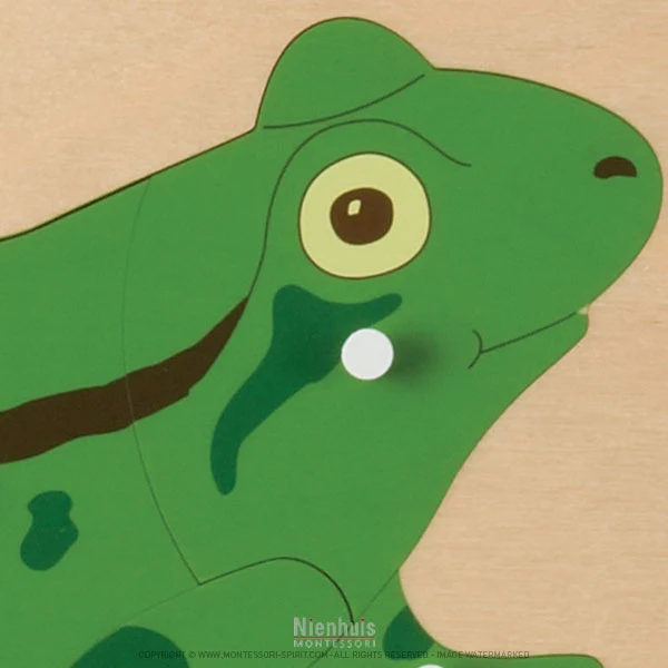 Puzzle animal : grenouille