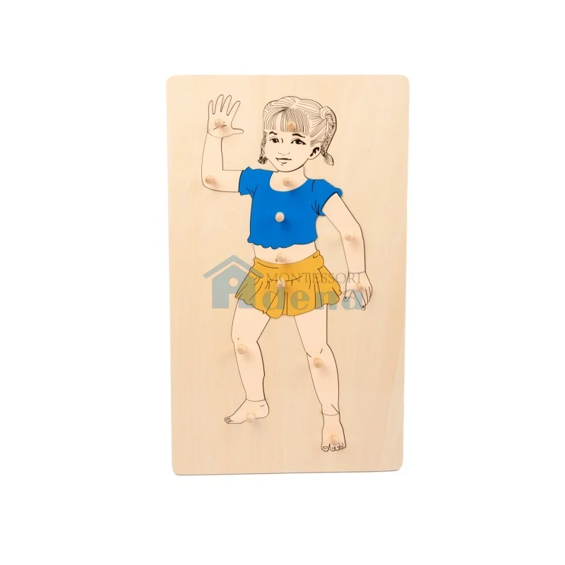 Adena Montessori Children Wood Toys Parts of the Body Puzzle- Girl