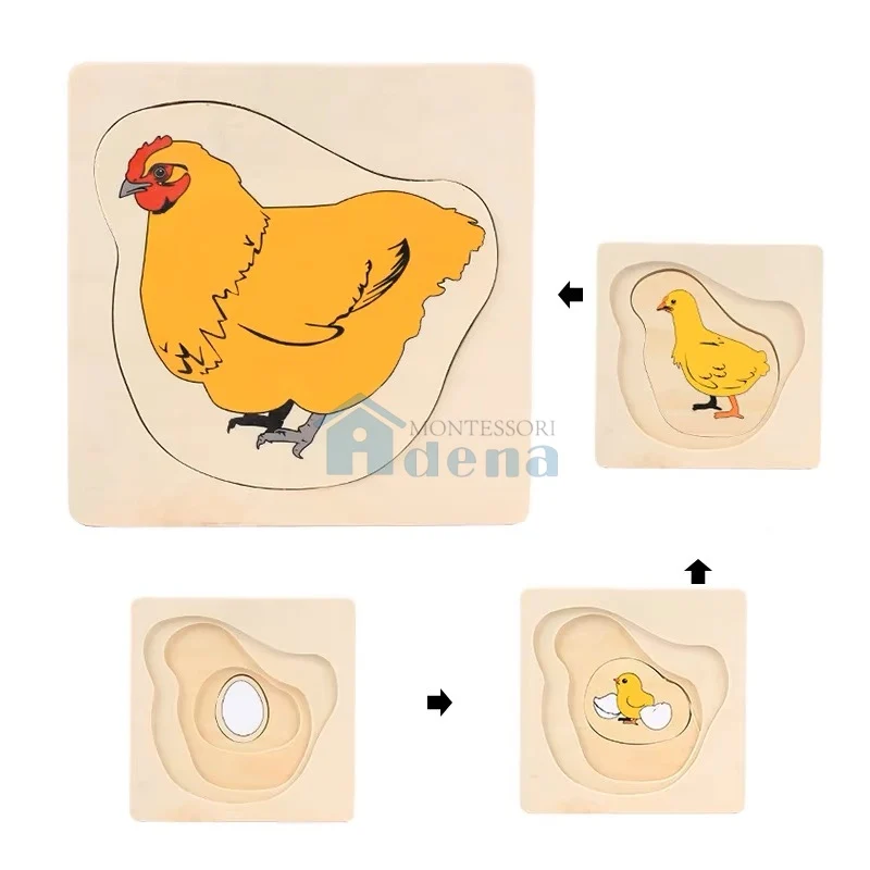Adena Montessori Life Cycle of Chick Puzzle Children Wood Toys