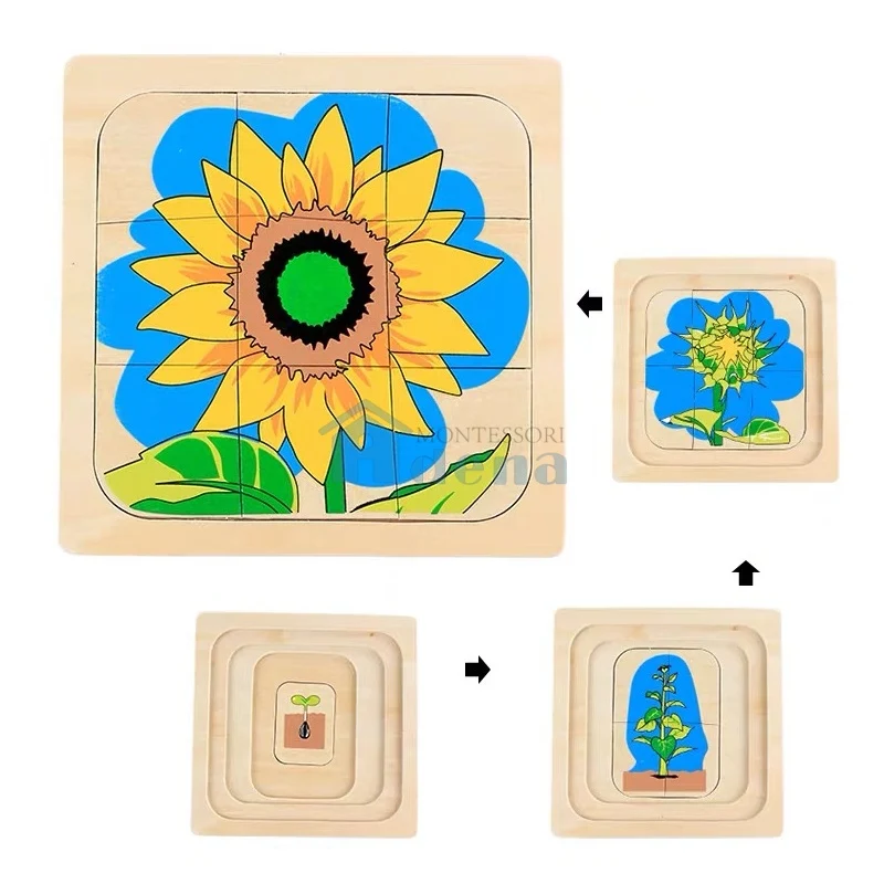 Adena Montessori Children Wood Toys Life Cycle of Sunflower Puzzle