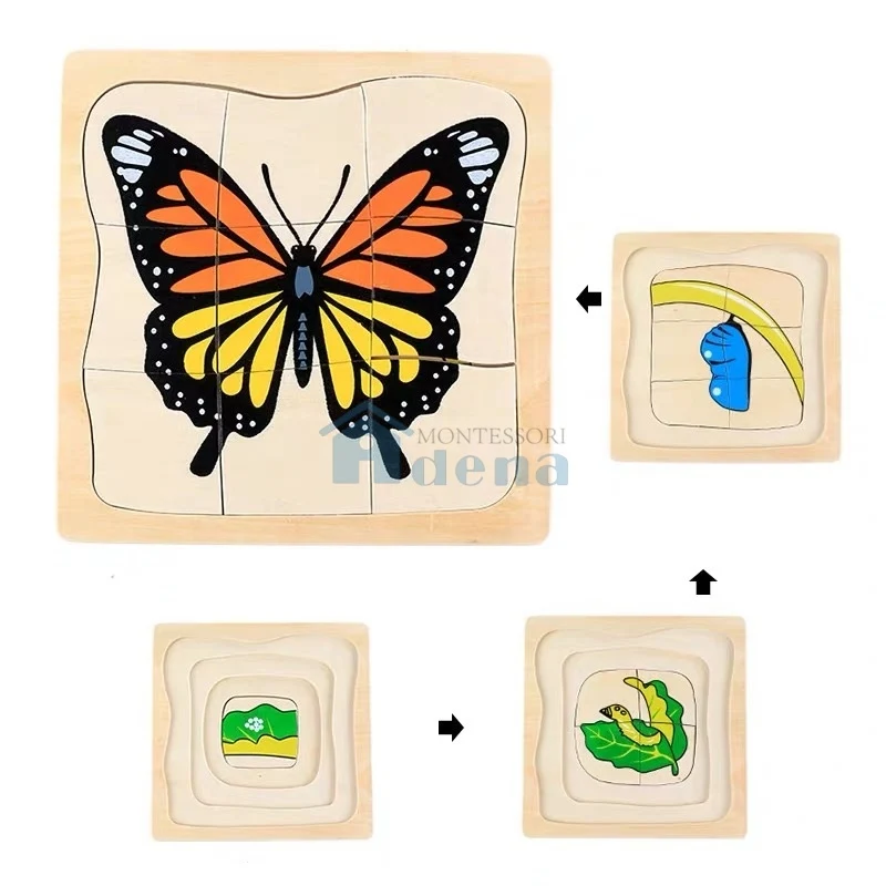 Adena Montessori Children Wood Toys Life Cycle of Butterfly Puzzle