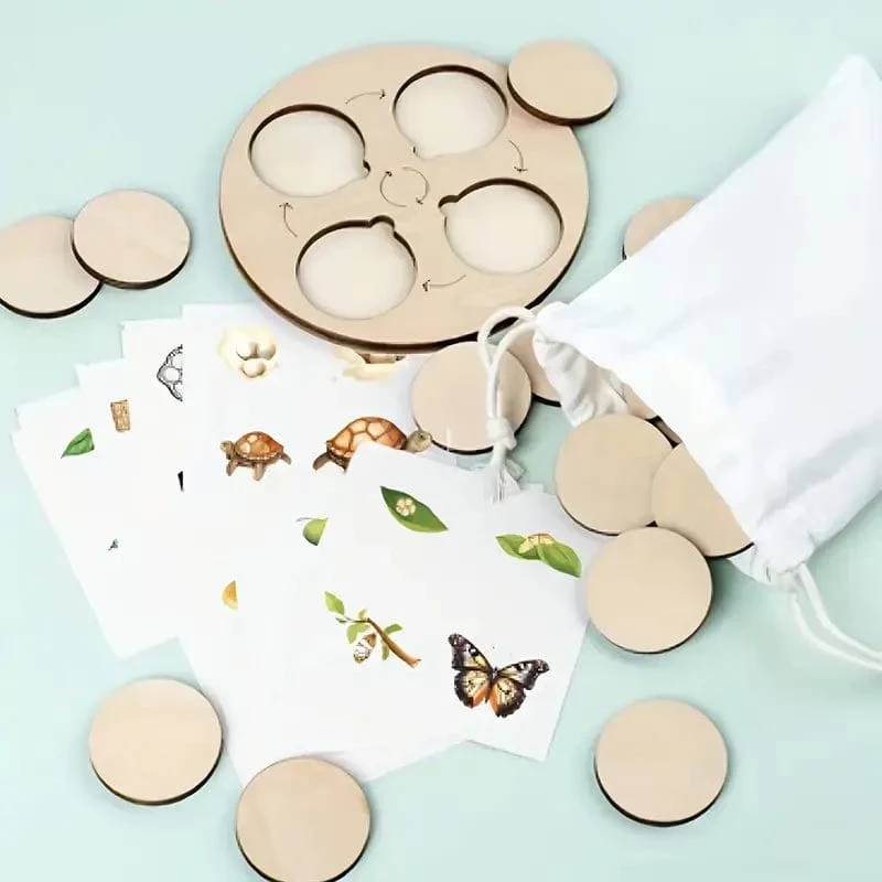 Puzzles Cycle de Vie