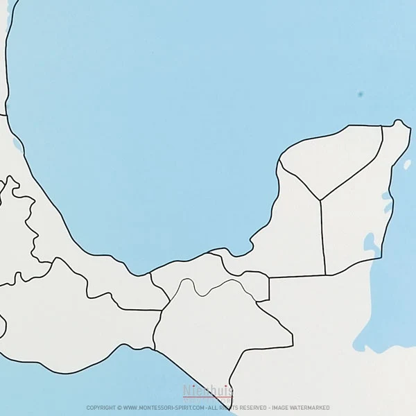 Carte de contrôle muette du Mexique