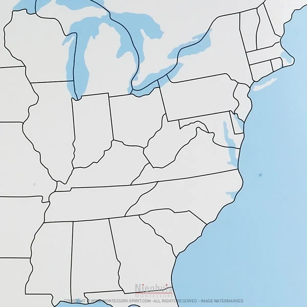 Carte de contrôle muette des Etats-Unis