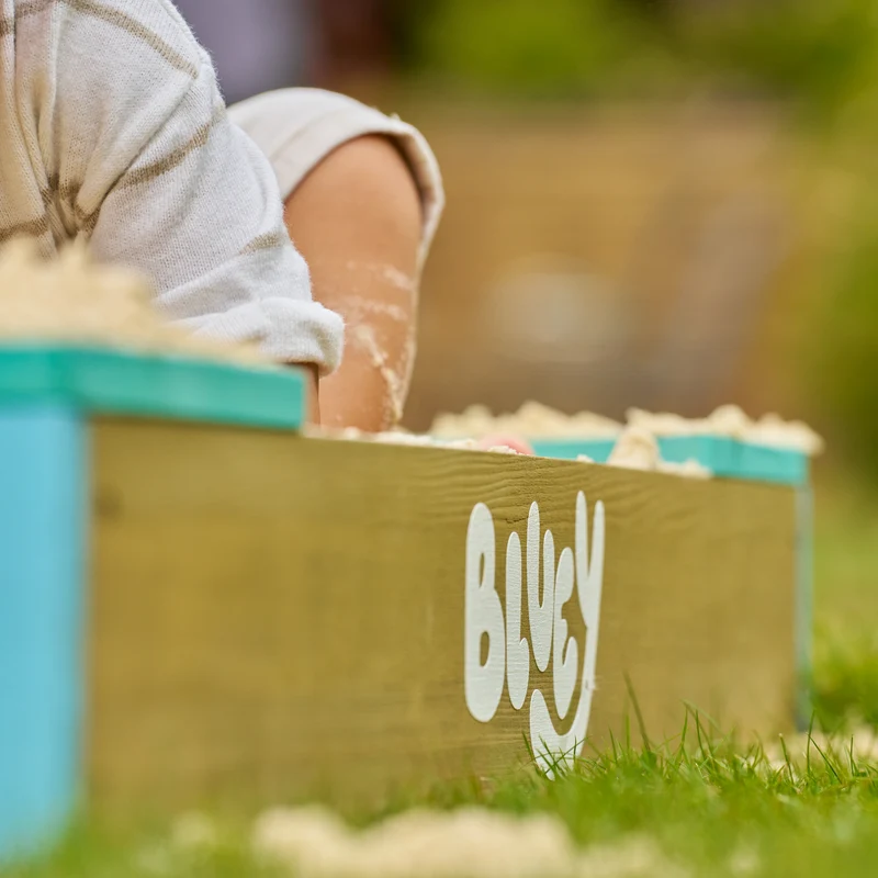 Bac à sable enfant BLUEY avec bâche et couverture bois FSC®