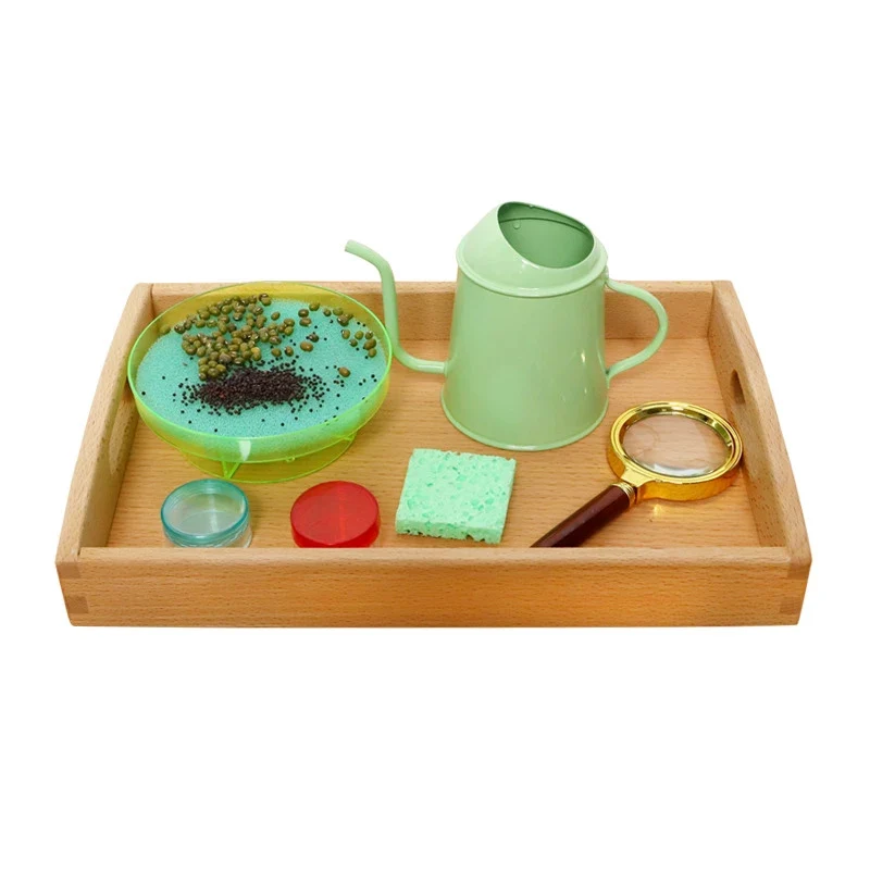 Atelier Sensoriel Scientifique Montessori 🌟 | Exploration des Phénomènes Naturels