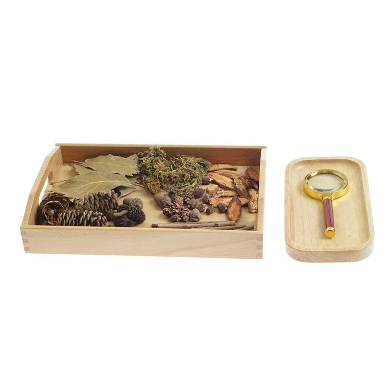 Atelier Sensoriel Scientifique Montessori 🌟 | Exploration des Phénomènes Naturels